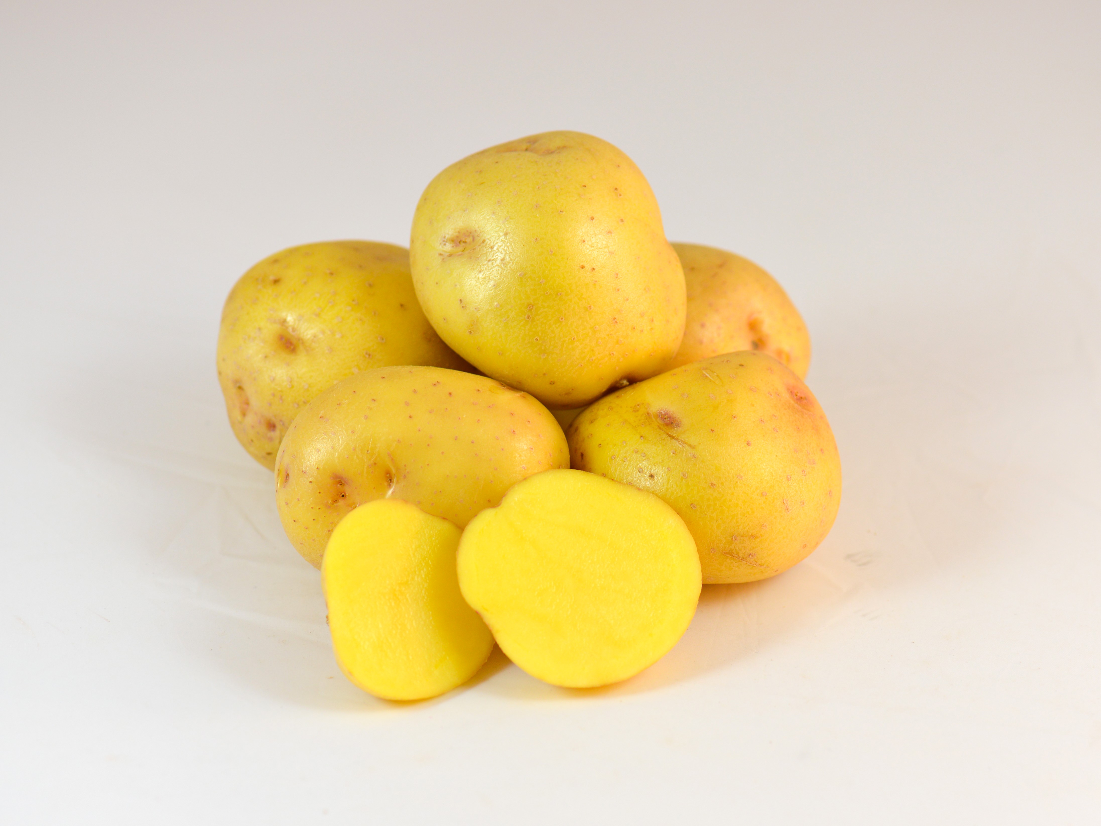 Jelly Potato Seed Variety Sunrain Potato Varieties